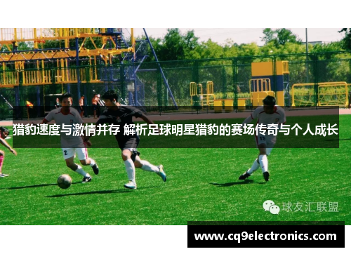 猎豹速度与激情并存 解析足球明星猎豹的赛场传奇与个人成长